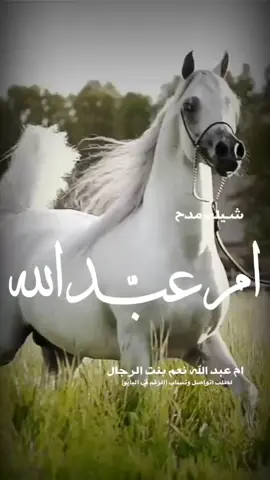 شيله مدح ام عبدالله _ ام عبدالله نعم بنت الرجال _ جديد #شيله_عريس #شيله_اقبل_اقبل_ياعريس_السعد #شيله_زواج #شيله_ام_العريس_ام_راجح_حماسيه #شيله_ترحيب #شيلات_عريس #شيله #شيله_ام_عبدالله #شيلات_مدح_ام_العريس #شيله_شرفي_ليل_الحفل #شيله_زواج #شيلات_مدح #شيلات_ام_العريس #شيلات_اقبلت_ام_العريس #شيله_عريس #شيله_ترحيب_باسم_ام_العريس #شيله_مدح_ام_عبدالله 
