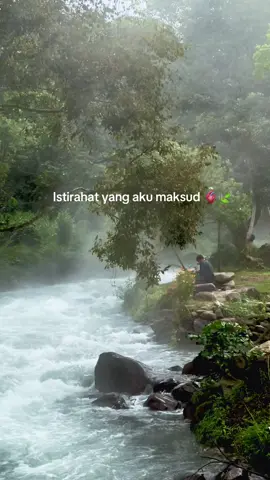 Tempatnya bener bener bikin tenang 🍃 #indah #alam #pesonaalam #healing #takengon #wisatatakengon #wisataaceh #wisatagayo #temasriverpark #fypindonesia #fyp #fypviral 