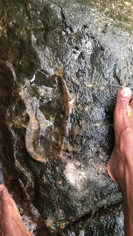 මිනිස් අඩිය නිදන් සලකුණ#nidhan#nidhan #nidhan salakunu