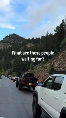 Apparently, we weren’t the only ones with the same idea.  We had our fingers crossed we would be the first car on Old Fall River Road for the season, but I’ll take #25 😆  Old Fall River Road is officially open for the season! 🙌 #Nature #foryou #fyp #oldfallriverroad #rmnp #colorado #mountains #travel #traveltok #Summer #mountainsarecalling 