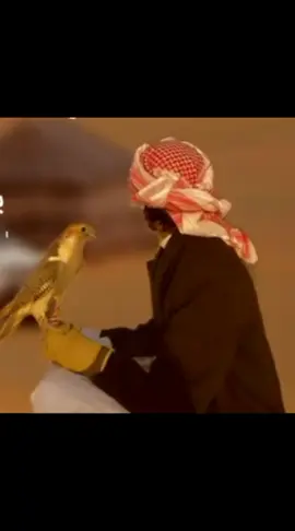 سيلة غني ياوصاب العالي #صنعاء_تعز_عدن_اب_ذمار_حجة_حضرموت #جديد #ترندات_تيك_توك #تفاعلكم_يساعدنا_على_الاستمرار💯💯 #tiktok #جديد 