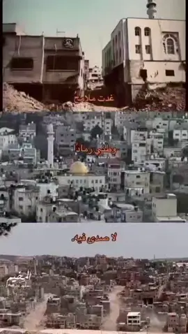 غدت ملامح.....💔....وطني رمادا......🥀.....لا صدى فيه.....😭#مخيم نور شمس 💔#طولكرم♥🙋‍♀️ #اعادة_النشر🔃 #حطو لايك