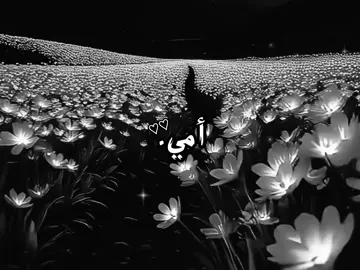 #أمي#fypシ゚ #fyp #foryou 