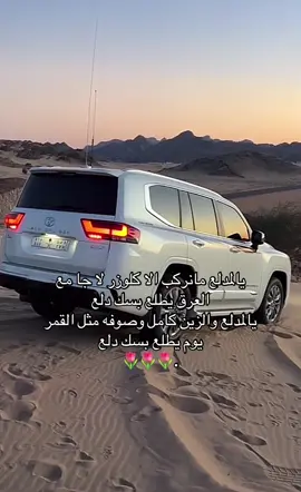 بسك دلع#تصويري📷 #اكسبلور #لاندكروزر #الجنوب #الرين #تصميم 