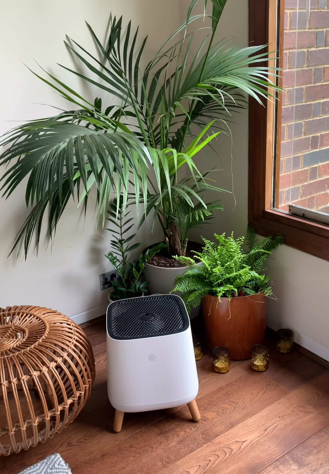 A breath of clean air is just what the doctor ordered!  Discover the power of clean air at home with the Sqair. 🩺  Shop now: https://bit.ly/43dO0jU