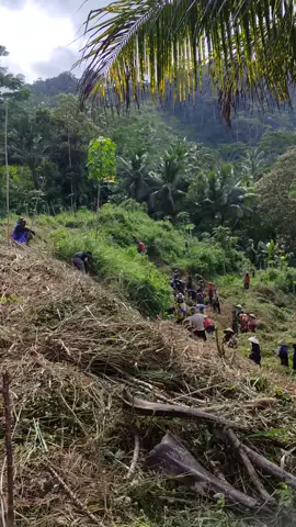 kita babad saja paman bersama