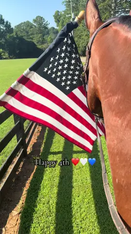 🇺🇸🇺🇸🇺🇸 #fyp #equestrian #foryoupage #fyppppppppppppppppppppppp #horsegirl #viral #fypp #giant4yearold #horses #horselife #horsetok #horse #horsesontiktok #horse #outfit #july #july4th 