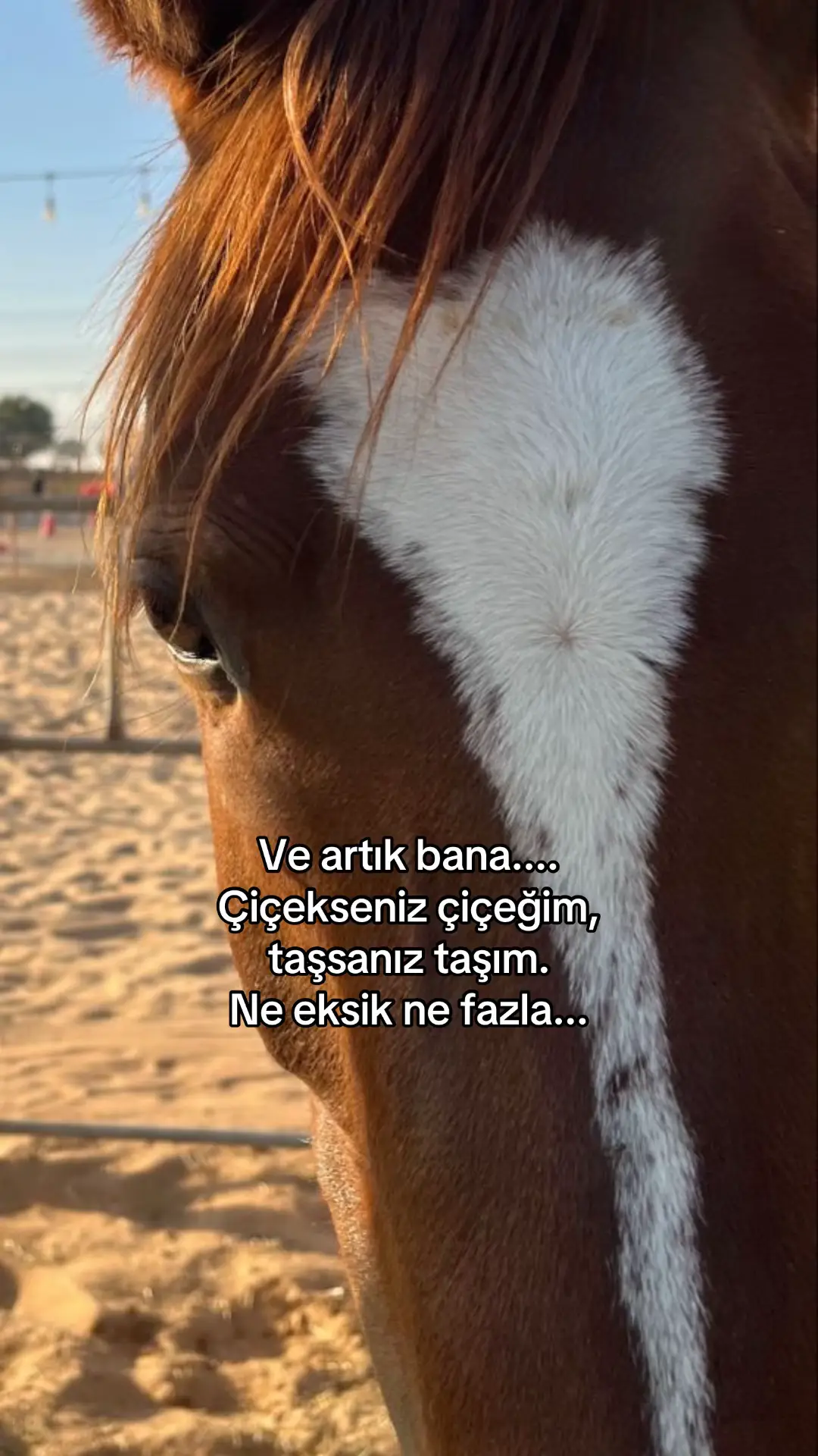 #beniöneçıkart #onecikarttiktok 