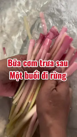 Bữa cơm trưa sau một buổi đi rừng #Trieuthimay #LearnOnTikTok #cuocsongthuongngay 