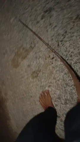 #simpangmisteriuscrbn #fypシ #fyp #cirebonpride🏴‍☠️ #abcxyz #anakmalam #sadvibes🥀 #galaubrutal #fypage 