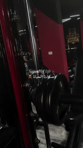 أصــوات الحيــاة part 2                                      #wolf_gym#gym #رياضة #منتجع_خاراس_السياحي #اكسبلورexplore❥🕊 #CapCut 