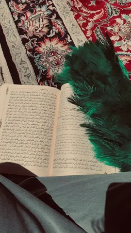 زيارةُ عاشوراء، اليدُ الدّافئةُ التي تمسحُ على طفلٍ أرواحنا في كلِّ ليلةٍ ليهدأَ ويسكنَ وينامَ دون الخوف من شبحِ الأيامِ الثقيلة.#كربلاء #fyp 