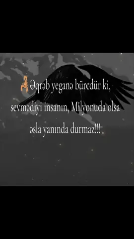 Əqrəbləri tanıyın#kesfet #əqrəb♏ 