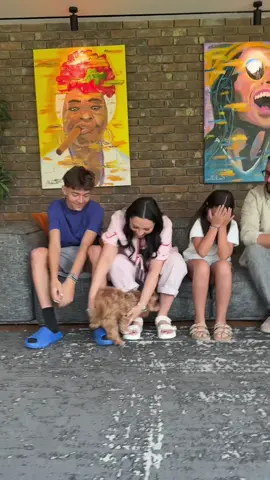 Toți ne batem pe iubirea lui Kiki, dar ea are alte planuri. Ne alege aleatoriu, în funcție de vibe, energie sau… poate gustarea din mână 😅🐶 #BossKiki #FamiliaMaruta #FavoritulZilei 