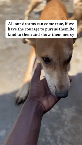 #DonateToSave 