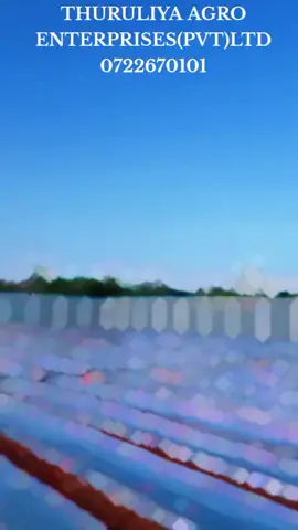 🟢 ලංකාවේ සතරදෙස විහිදුණු තුරුලිය අපේ ව්‍යාපෘති