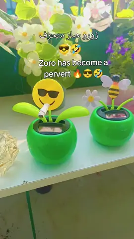 عيش حياتك 😎 هشتك بشتك 🤣🔥🧔🏻