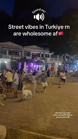 Too damn cute 🫢 how’s that dog tho 😂 #StreetDancing #TurkeyVibes #TurkishStreets #DanceCulture #IstanbulMoments   #UnexpectedTalent #DanceInPublic #UrbanVibes #TravelTok #CulturalVibes   #TurkishStyle #FoundOnTheStreets #FYP #StreetPerformance #FeelTheBeat
