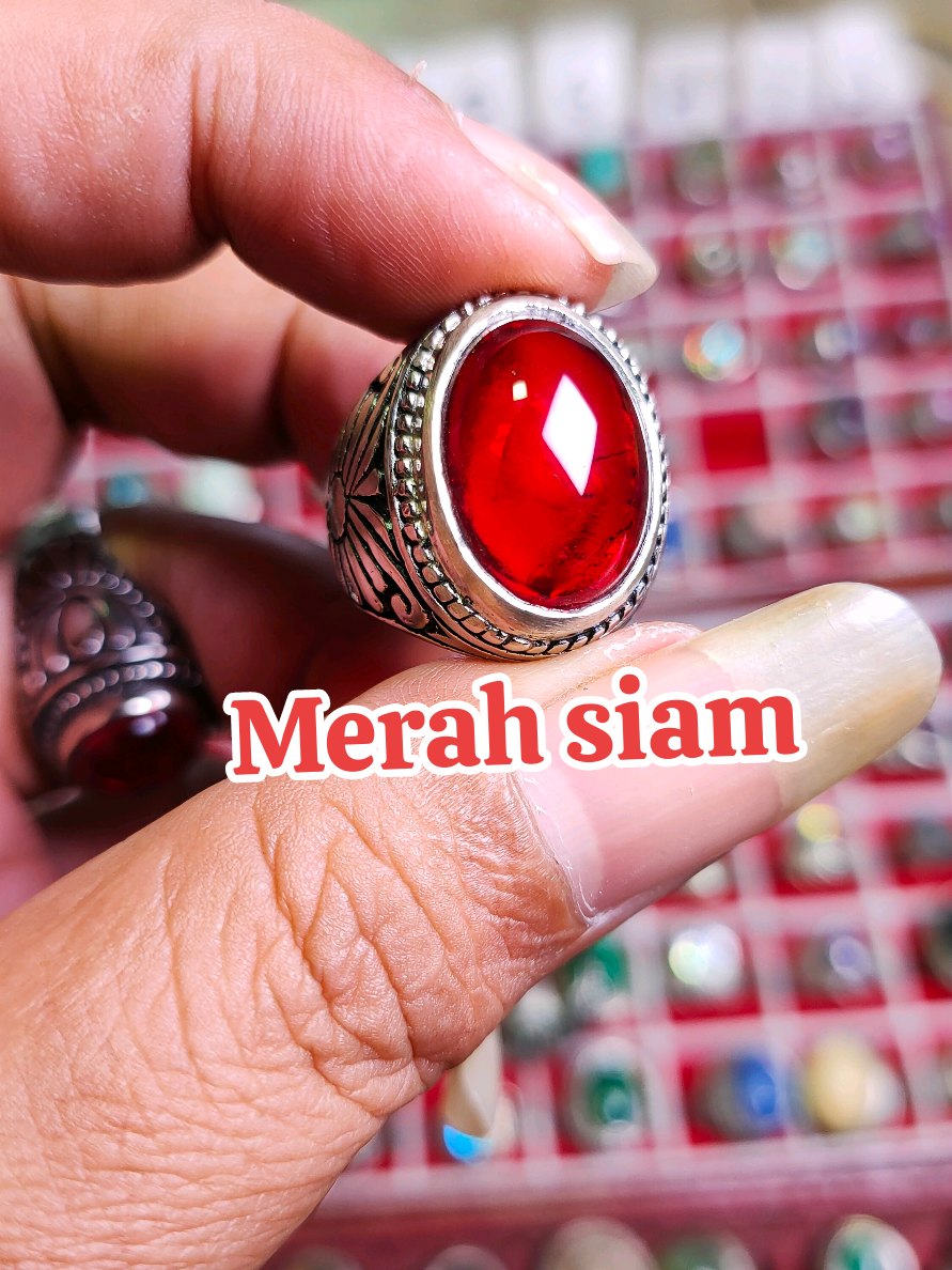 Merah Siam merah Siem cincin merah  #merahsiam #merahsiem #cincinmerah #lewatberanda 
