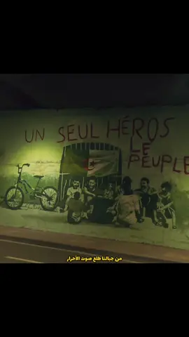 Part 63 | 05 juillet 1962 🇩🇿✊🏻 #aesthetic #05juillet1962 #عيد_الاستقلال_الجزائري #من_جبالنا #🇩🇿 