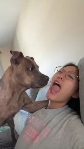 Any opportunity to stick his tongue in my mouth 😭 #puppytiktok