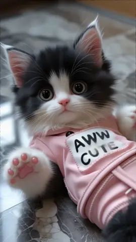 #cute #baby #cutebaby #adorable #ai #animation #trending #cat #cats #catslovers #catlover #cutecat #apt #tiktoktrend #talkingcat #kitten #kittensoftiktok 