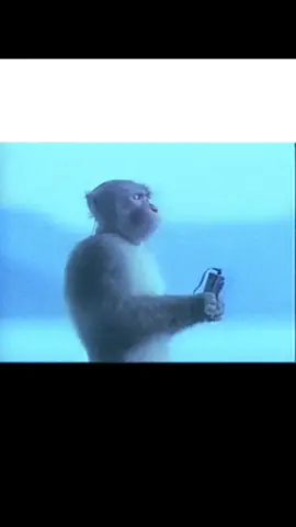 this song helps me sleep - does anyone else just lay awake and think about every awkward moment in their entire life lol #chillguy #monkey #relaxing #zen #peaceful #meme #ambient #darkambient 