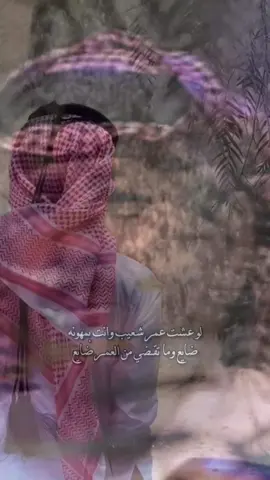 العز يوم يغامر الرجل دونه   #fyp #fypシ #قصايد #شعر 