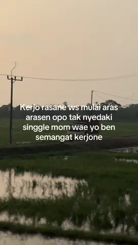 Sopo ngerti lgsg semangat 🗿