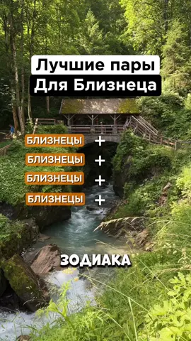 Лучшая пара для Близнецов! #гороскоп #знакизодиака #близнецы #астрология 