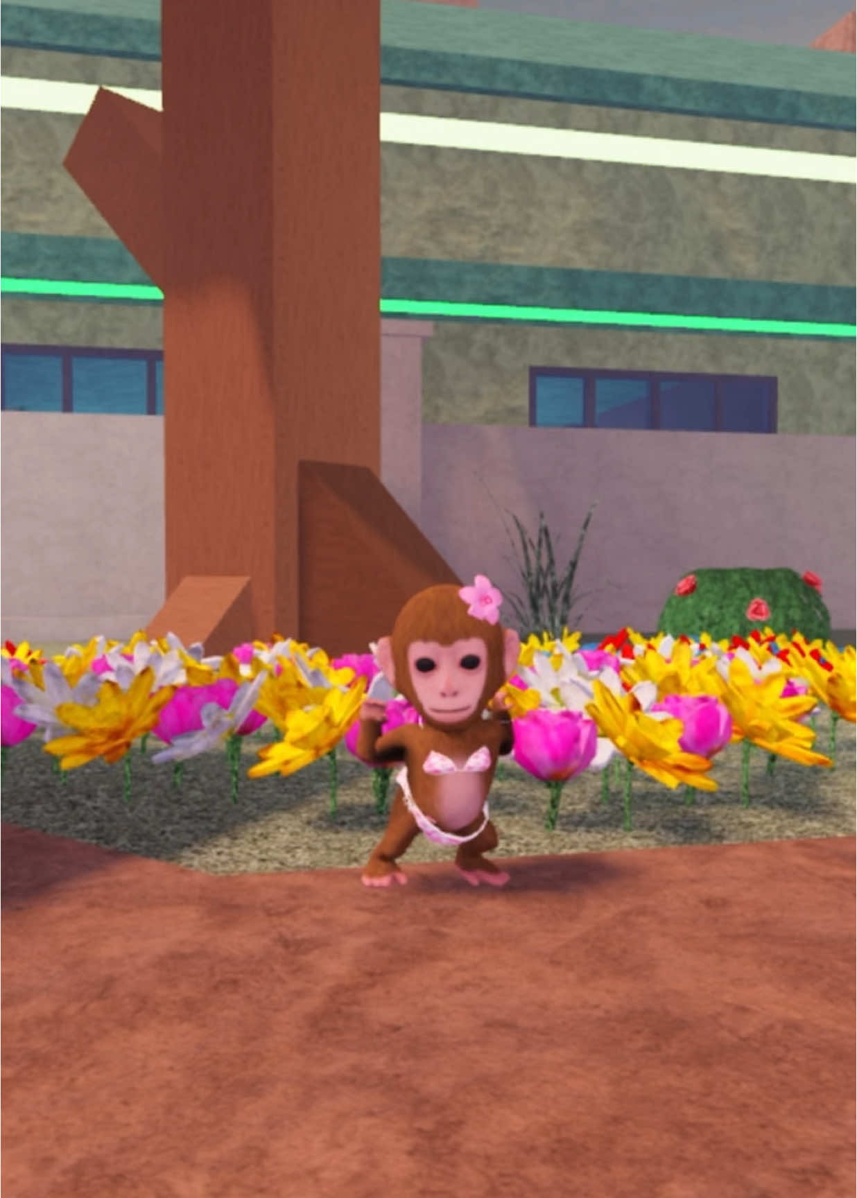 #MONKEYDANCING — #fyp #foryou #monkey #monkeydancing #monkeydance #monkeydances #viral #viral? #xyzbca #omgpage #shakeittothemax 