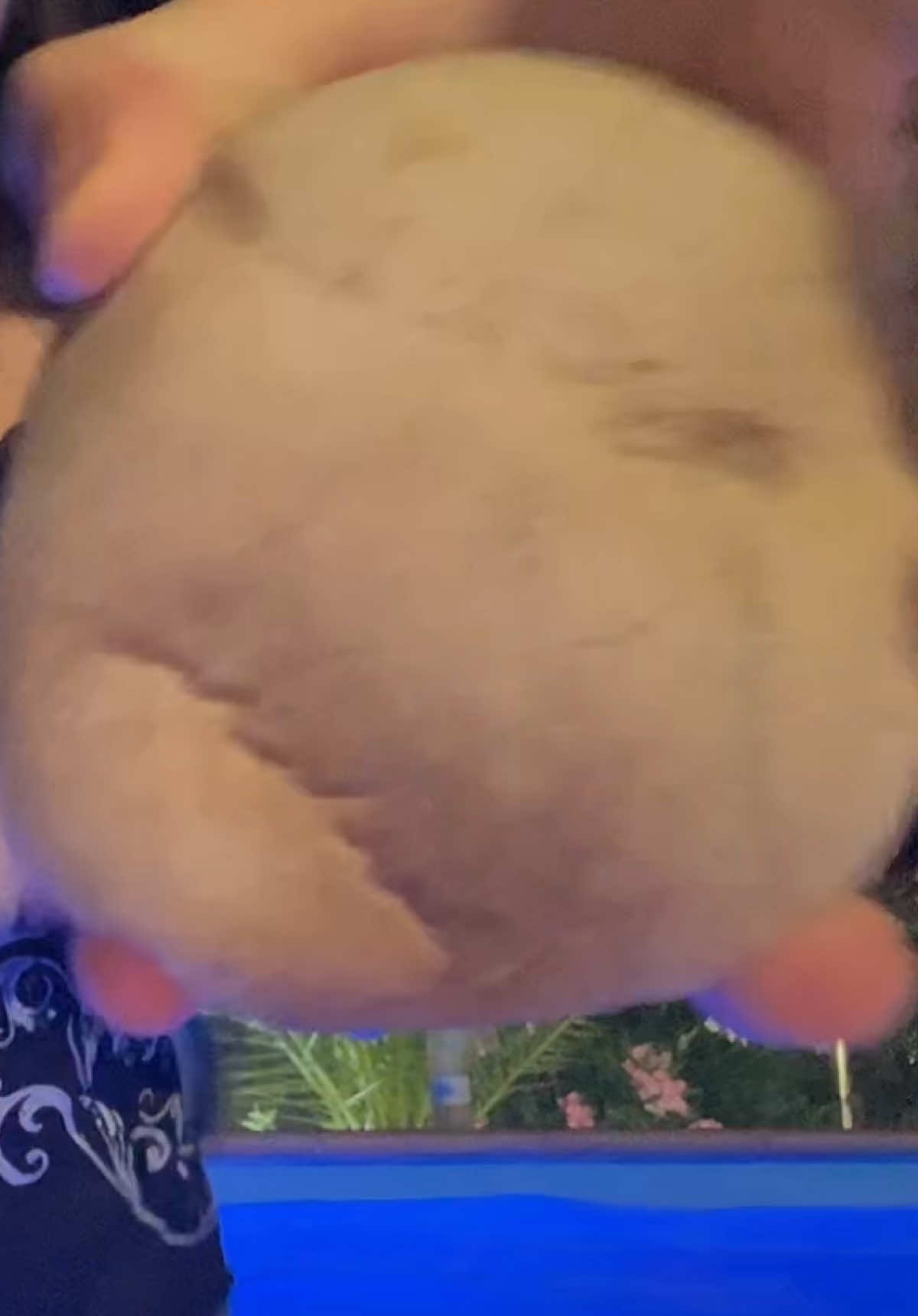 Cameo de una piedra enojada #fyp #zxycba #paratii #viralllllll 