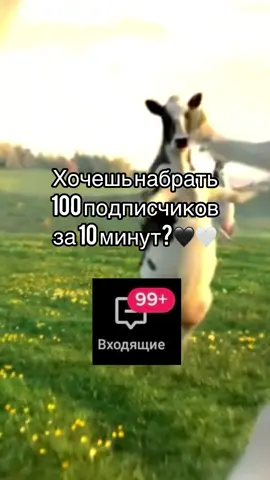 #teamworkchallenge #подпишись #накрутка #fyp #рекомендации #подписчики 