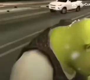 #shrek #dance #fyp #pypppppppppppppppppppppppppppppp  #seetính #danceyyy💃 