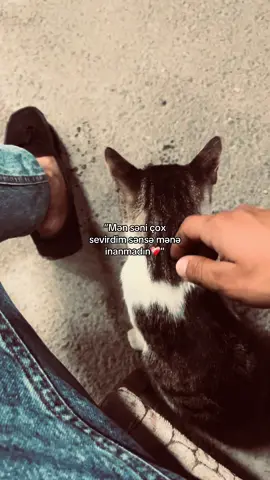 Məni səni sevirəm❤️‍🩹”Maşam❤️‍🩹”#keşfet #gecəpostu #keşvetbeniöneçıkar #sevgi #fdy#kesvetazerbaycan #maşam❤️‍🩹