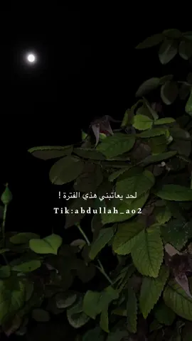 لحد يعاتبني هذه الفترة ! ❤️‍🩹 #foryou #exploreاكسبلور #fyp 