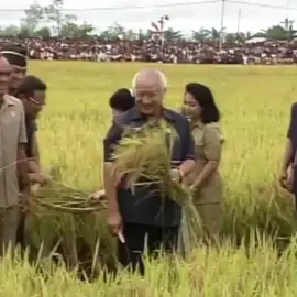 Pak Harto dan Ibu Tien merayakan acara panen raya di Merauke, Papua (7 Mei 1994). * President Soeharto and Mrs. Tien Soeharto celebrates the harvest event in Merauke, Papua (May 7th 1994). * #suharto #soeharto #pakharto #cendanaarchives #sejarah #History #indonesia #presiden #president #papua #swasembadapangan #1990s #orba #ordebaru #ibutien #freeport #reformasi #freeportindonesia #20tahunreformasi #bapakpembangunan #bapakpresiden #ibunegara #berkarya #petani #rakyatkecil #merauke #pangan #beras #padi