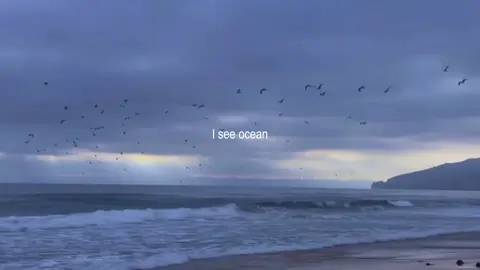 Sea (hidden track) | bts #bts #btsarmy #bangtan #방탄소년단 #bangtansonyeondan방탄소년단 #bts_official_bighit #btssongs #btsedit #aesthetic #lyrics #btslyrics #fyp #xybzca #xybca #foryoupage #foru #seabts #viral #btsaesthetic #btslyrics 