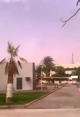#سبها_ليبيا_الجنوب_الليبي_الثانوية🔥🖤 #سبها_ليبيا_الجنوب_الليبي❤️🍂 #الاحياء_الدقيقه🔬🧬 #مختبرات_طبية👩🏻‍🔬💉 