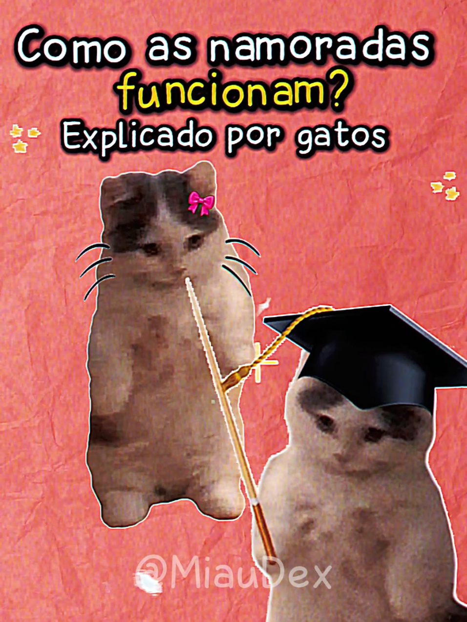 Como as NAMORADAS funcionam? Explicado por Gatos