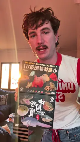 Yall ever laugh and grow fat or no 