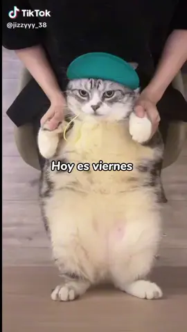 #CapCut #viral💖✨ #hoy es viernes y el cuerpo lo sabe😝