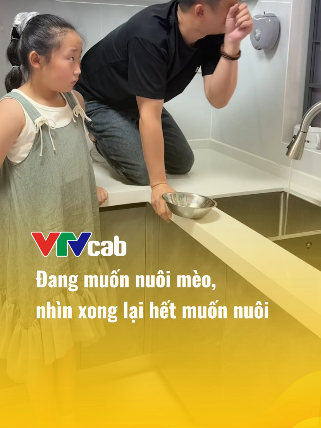 Đang muốn nuôi mèo, nhìn xong lại hết muốn nuôi =)) #vtvcab #vtvcabgiaitri