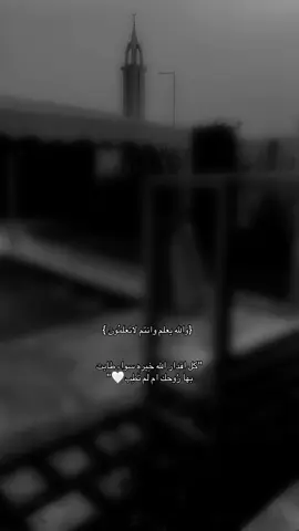 والله يعلم وأنتم لاتعلمون🤍.                               #اذكروا_الله_يذكركم #اكتب_شي_توجر_عليه #اكسبلورexplore #foryou #fyp #الحمدلله_دائماً_وابدا 