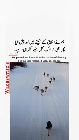 Kabi bi kisi ki fitrat nahi badal skti #decent #devil #EmotionalPost #wolf #alphawolf #pageforyou #creatorsearchinsights #needviews #legend @tiktok creators 