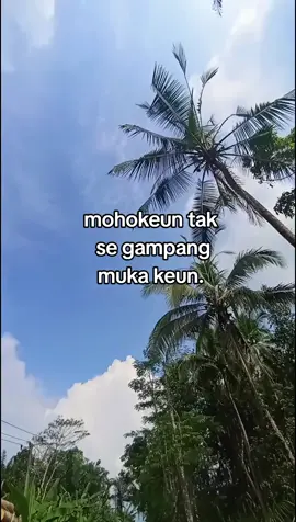 Umbrah ambreh.#fypp #masukberanda 
