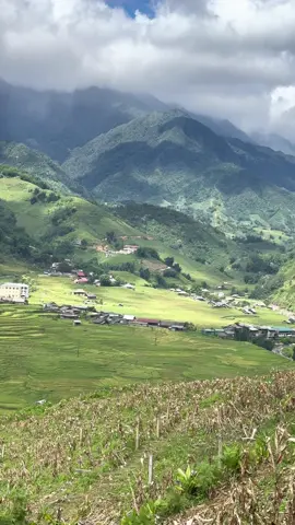 📍Thung Lũng Mường Hoa - Sapa 🌲 #sapa #tavan #tavanvillage  #muonghoa #thunglungmuonghoa #vietnam #laocai #mualuachin #taybac #travel #travelvietnam #traveltiktok 🏕️🌲🌾🌿
