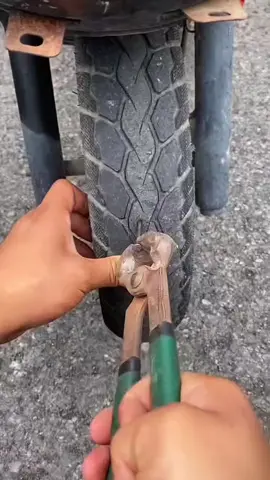 ✨🌟Vít Vá Lốp Xe Máy Ô Tô Công Nghệ Nhật Bản Siêu Nhanh, An Toàn ,Siêu Tiện Lợi ##xuhuongtiktok##giadungtienich##giadungthongminh##vitvalopxekhancap