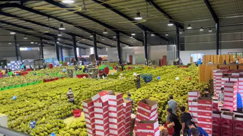 Bắt tay vào làm việc tiếp thôi Ae 