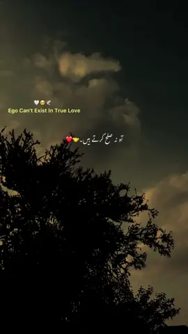 Man Bhi jao Meri Jaan Ab bas❤️🫀💐#fyp #1millionaudition #foryoupage #grow #account #viral #urdu #aesthetic #poetry 